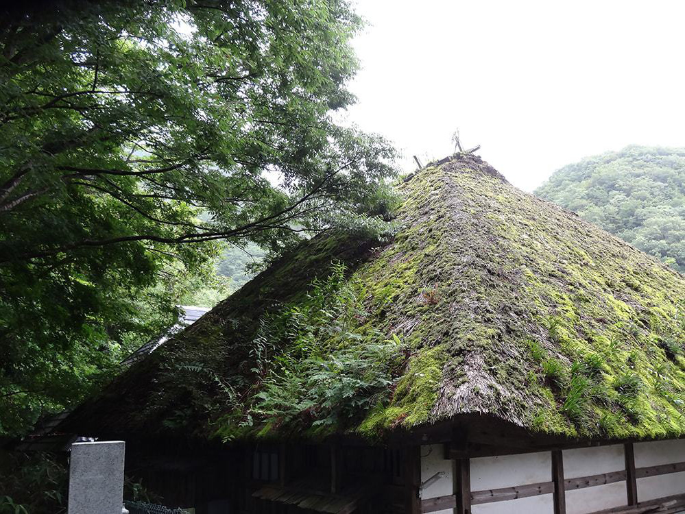 老朽化した茅葺き屋根の写真